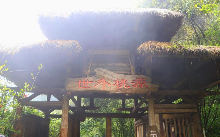 侍忍者