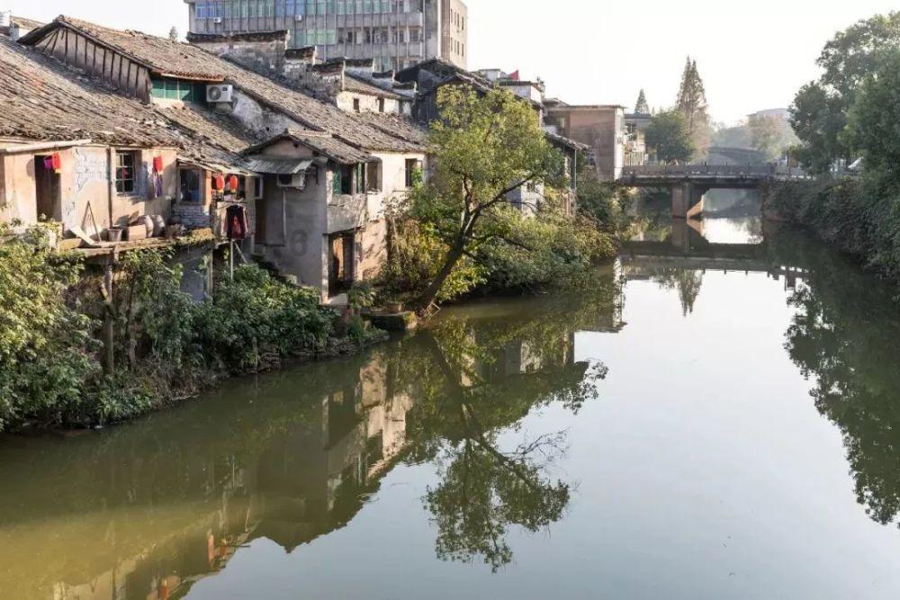 朱丽叶长寿花好养吗？游戏画面